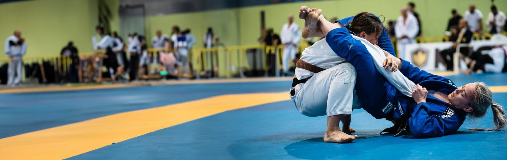 Brazilian Jiu Jitsu & MMA