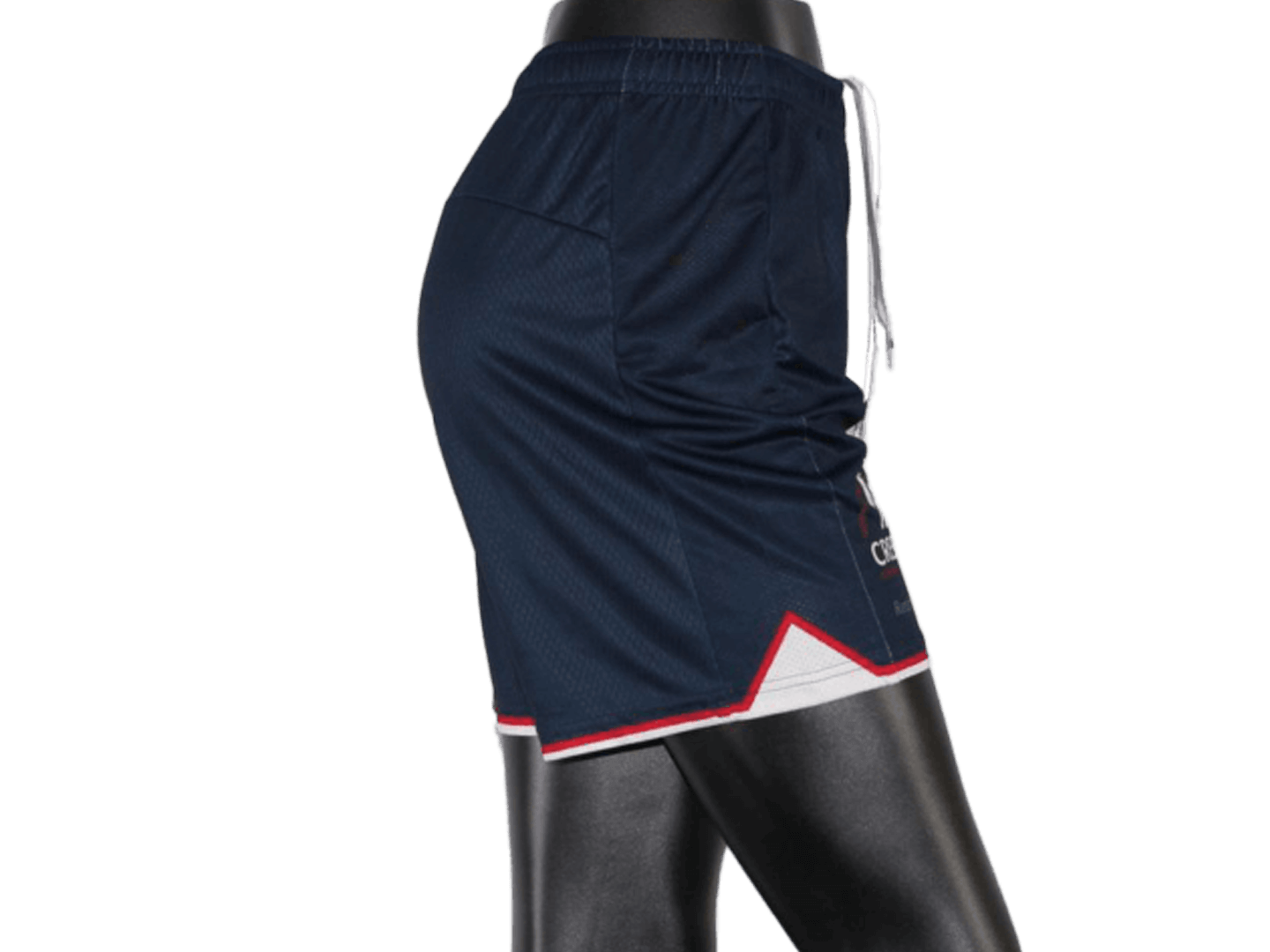 Team Basketball Shorts Gallery