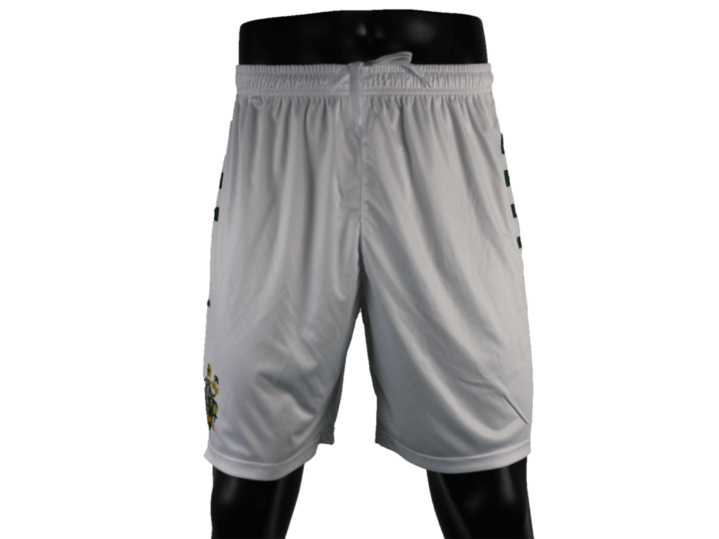 men's soccer shorts