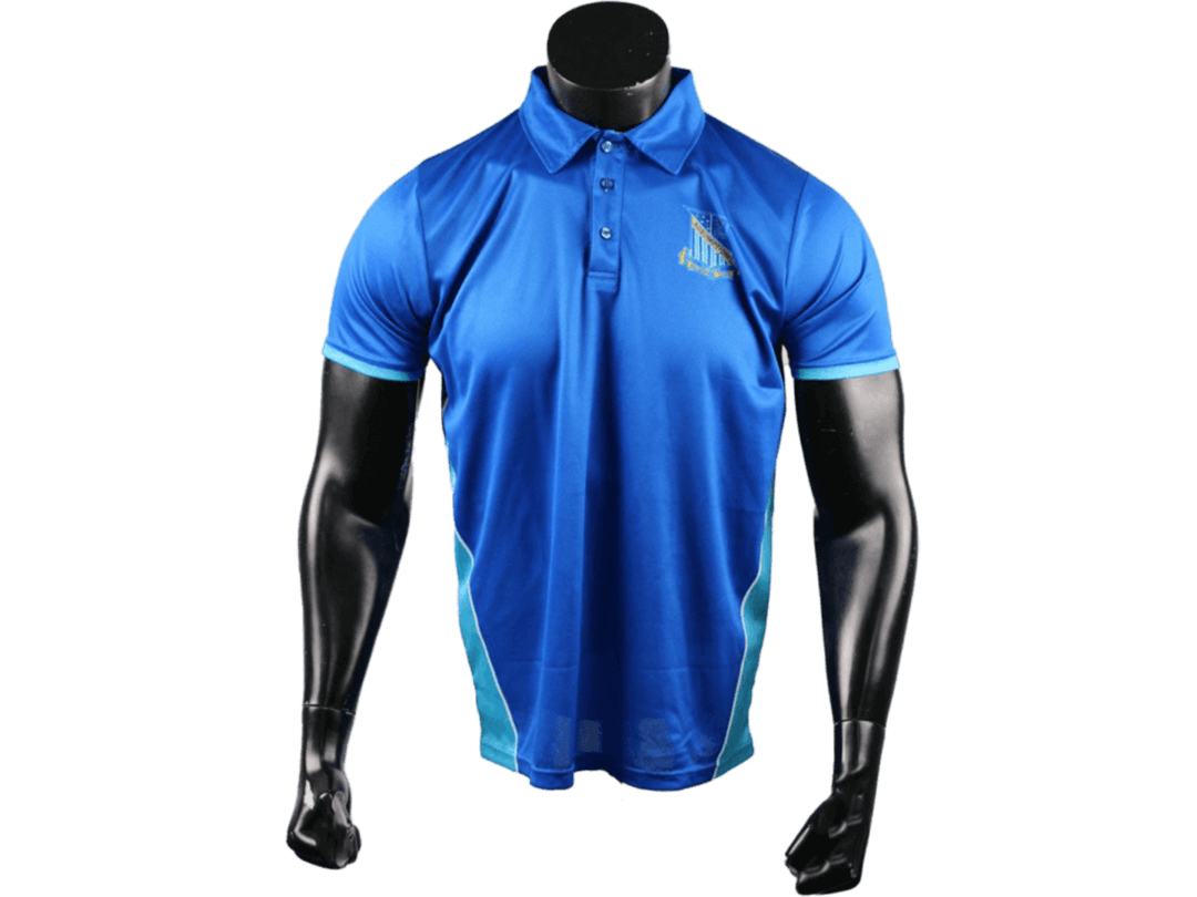 Custom Sublimated Graphic Design Polo Shirt Manufacturer Dri Fit Polo Shirt  Sport Polo Shirt - China Custom Graphic Polo and Custom Sport Polo Shirt  price