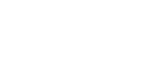 BSCI logo white